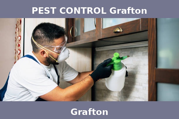 PEST CONTROL Grafton